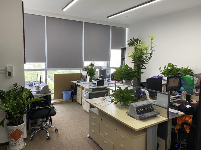 注册电子商务公司流程及费用(图1) 注册电子商务公司流程及费用(图1)